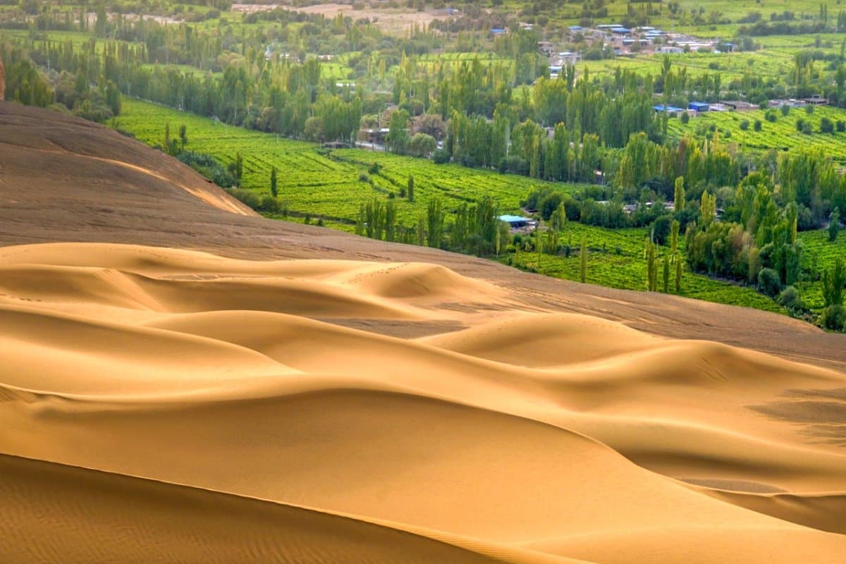 Golden sunset over Kumtag Desert sand dunes with oasis town visible in distance