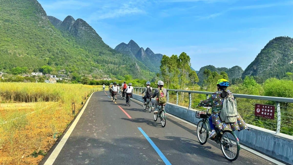 Cycling through rice paddies with karst peaks at Wanfenglin
