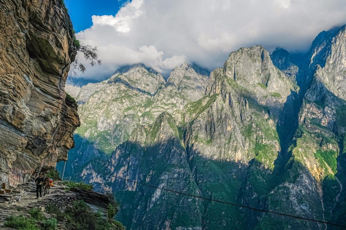 Primeval forest on the Haba Snow Mountain trail