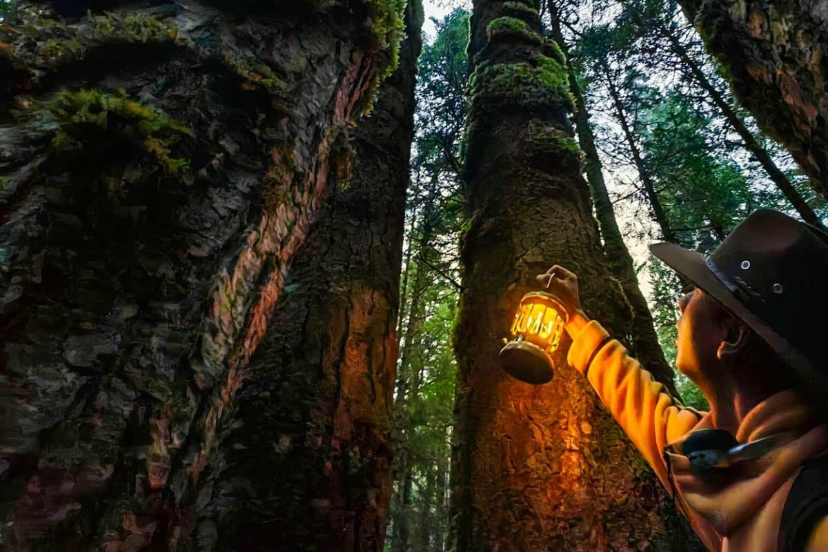 Night patrol with infrared equipment in Tangjiahe